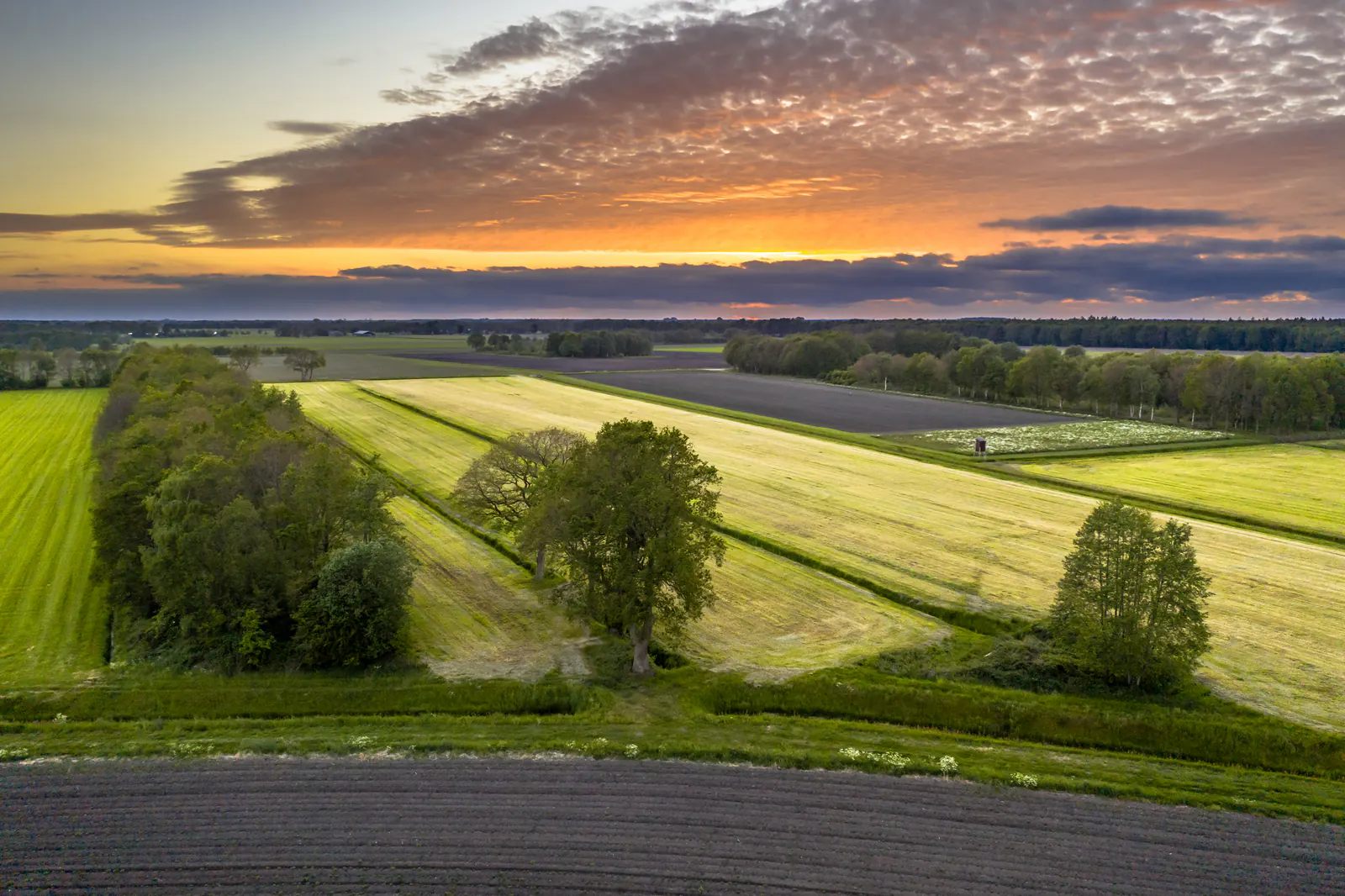 Rural landscape at sunset